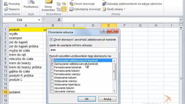 Excel 2010 - Zabezpieczenie Akrusza