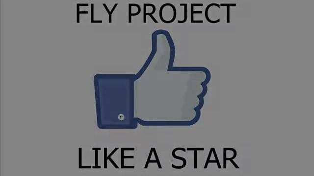 FLY PROJECT LIKE A STAR смотреть онлайн