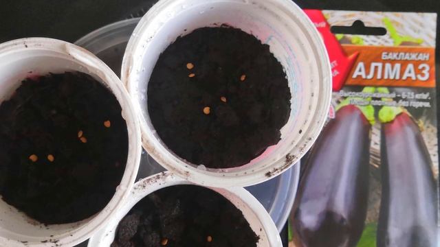 Когда сажать баклажаны на рассаду смотреть онлайн