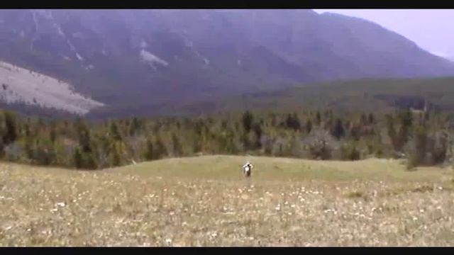 Ian & Curly`s wicked adventure смотреть онлайн