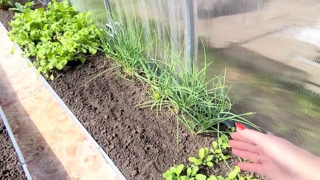 Хватит Ржаветь На Диване...@MARGARITA_GERASIMOWA смотреть онлайн