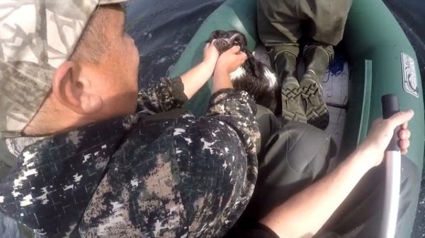 Охота на утку. Осеннее открытие на утку 2022.Едем на открытие в доме на колесах.УАЗ 3303 головастик