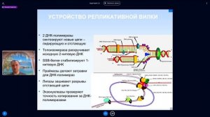 Михаил Никитин. Лекция 10. LUCA, вирусы, происхождение ДНК и систем ее копирования