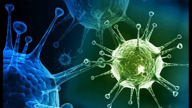 Почему возникает папиллома смотреть онлайн