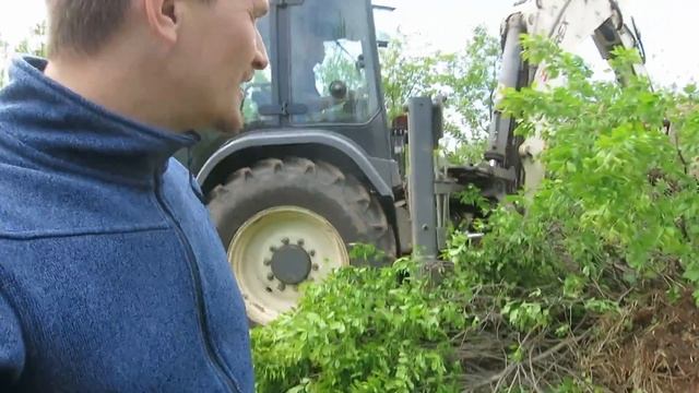 Как расчистить участок. Удаление деревьев и поросли смотреть онлайн