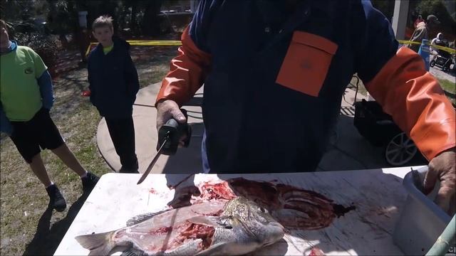 SHEEPSHEAD CLEANING INDUSTRIAL STYLE - El Cheapo 2020/ Filletzall