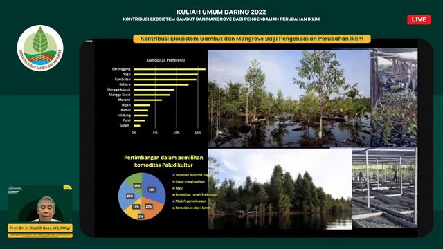 Kuliah Umum Daring | Kontribusi Ekosistem Gambut dan Mangrove Bagi Pengendalian Perubahan Iklim смотреть онлайн