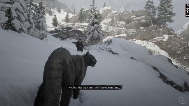 Trying to Complete a Mission Playing As Black Panther in Red Dead Redemption 2 смотреть онлайн