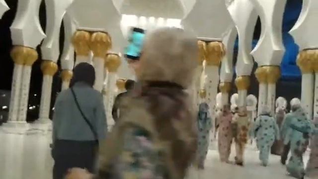 Мечеть шейха Зайда