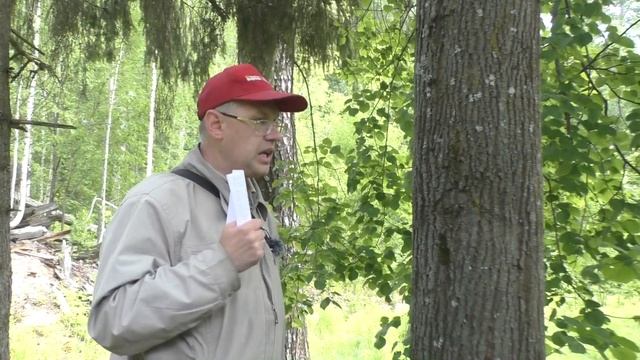 Лишайники и лихеноиндикация | Сергей Беляков смотреть онлайн