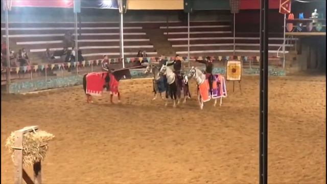 Рыцарский турнир и подвернутая нога смотреть онлайн