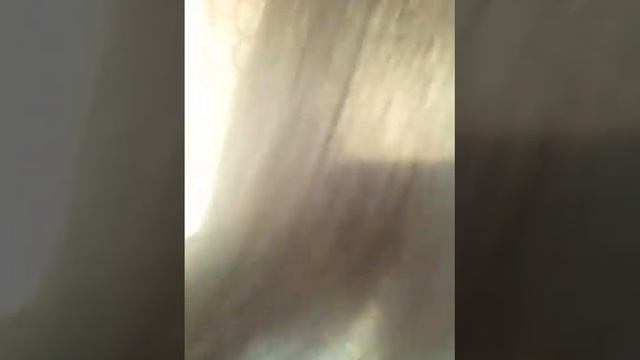 УХОД ЗА ВОЛОСАМИ ДОМА. Волосы после маски из глины мултани! смотреть онлайн
