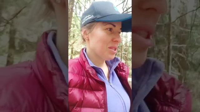 Где собирать Строчки (грибы) смотреть онлайн