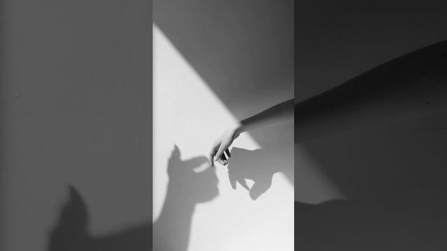 ШАХНАМЕ | Рустам и Акван-див смотреть онлайн