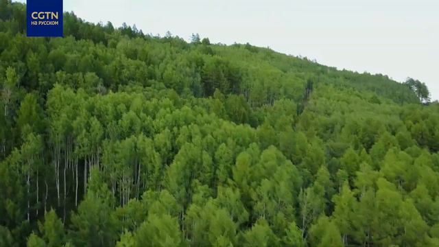 Истории китайской мечты 35 смотреть онлайн