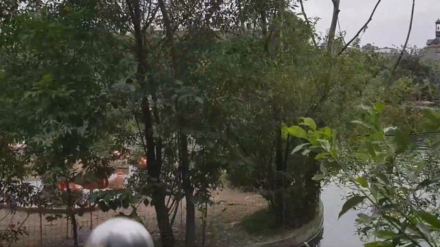 Московский зоопарк смотреть онлайн