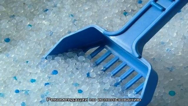 Советы для владельцев кошек и собак