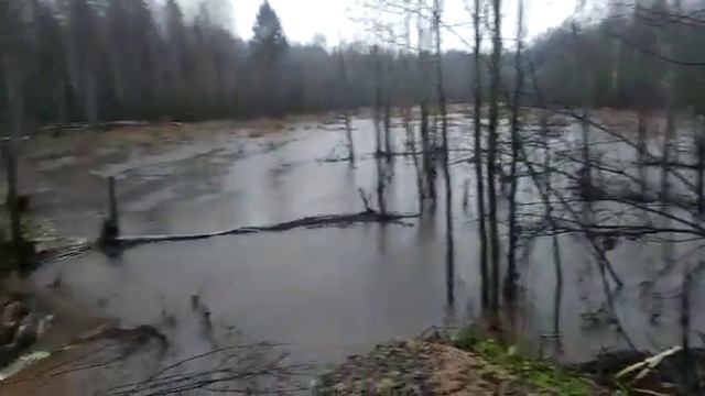 Размыло дорогу в Вологодской области смотреть онлайн