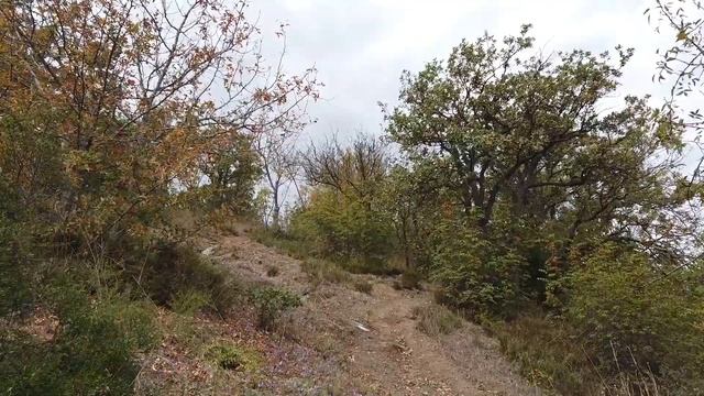 Беседка на Орлиной горе Профессорский уголок смотреть онлайн