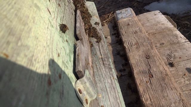 Первый рабочий день смотреть онлайн