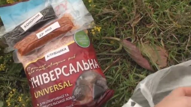 Ловля карася на шарики из воздушного теста смотреть онлайн