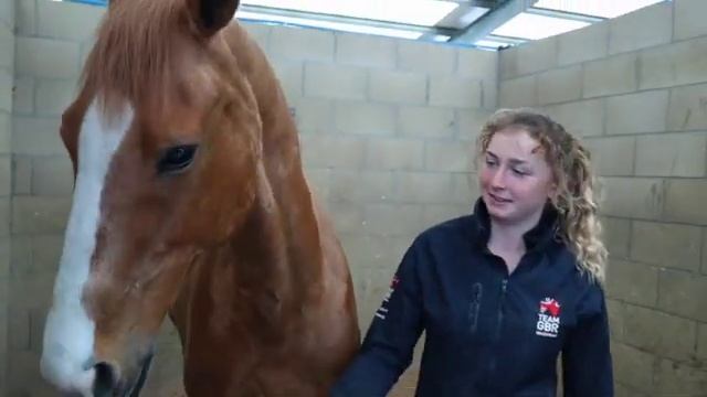 Riding my GB Horse смотреть онлайн