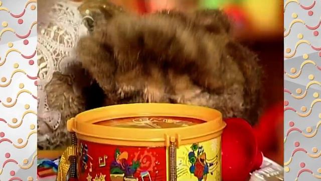 Шишкин Лес утро. Смысл жизни смотреть онлайн