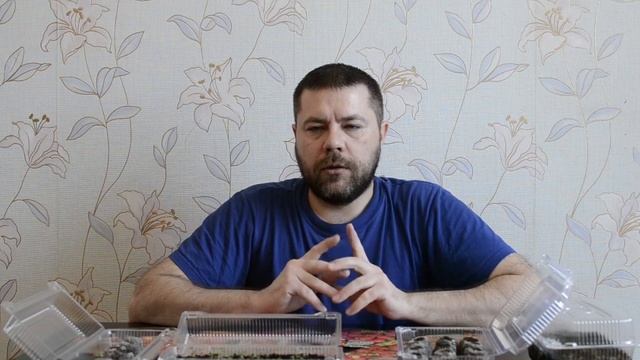 РАССАДА КЛУБНИКИ (ЗЕМЛЯНИКИ) НА 4-ой НЕДЕЛЕ! УГЛУБЛЕНИЕ РАСТЕНИЙ!