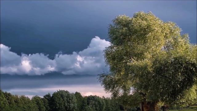 Медитация РА "Дерево" (03.08.18) смотреть онлайн