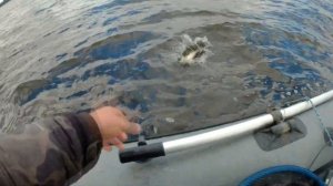 Раз на раз не приходится  Осень Лосвидо