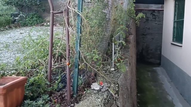 5 ноября 2023 г. смотреть онлайн