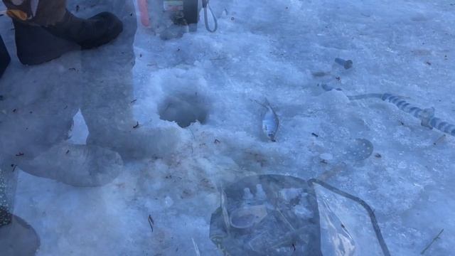 Рыбалка НА ОКЕ / Рыба стоит СТЕНОЙ / Рыбалка после ОТТЕПЕЛИ смотреть онлайн