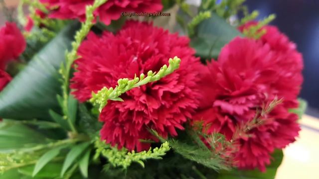 Samsung Galaxy Note 5 Full Hands on Review смотреть онлайн