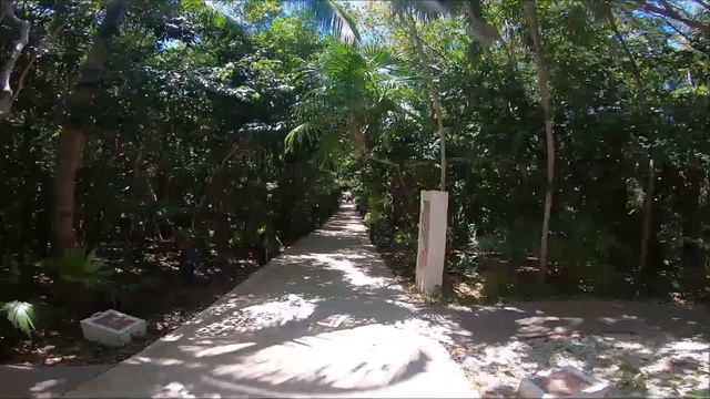 Mexico 2019 Catalonia Playa Maroma Gopro