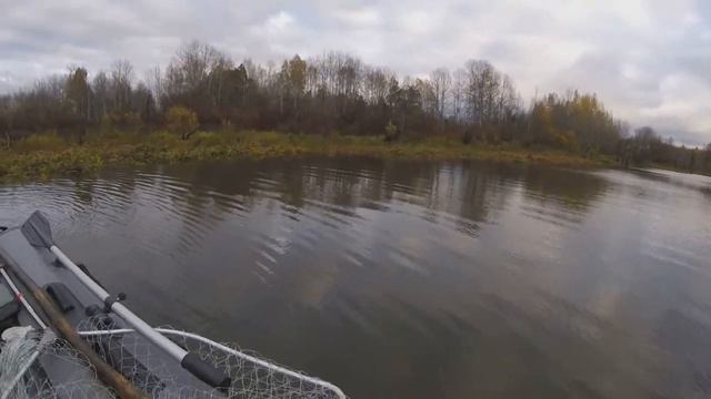 Здесь живут Бобры! смотреть онлайн