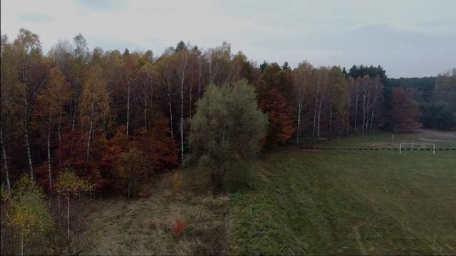 DJI Mavic Mini + Litchi BETA 2.9.0. TEST: ORBIT смотреть онлайн