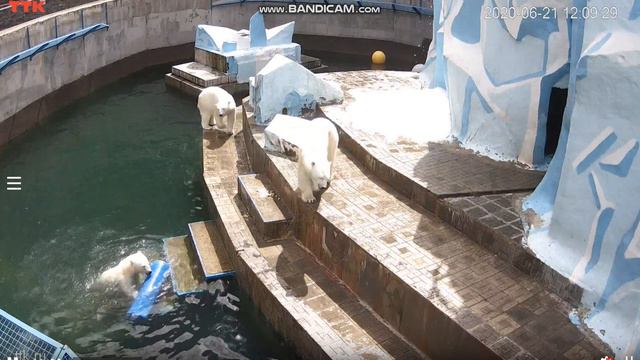 Медвежата шли за Гердой. Шайна засмотрелась, упала в воду и поплыла играть 21.06.2020 смотреть онлайн