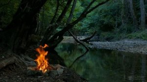 Через сколько дней всходит кукуруза после посева?