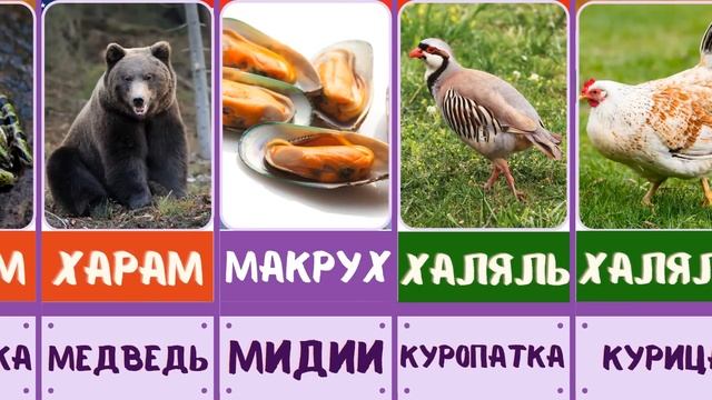 Каких животных мусульмане едят, а каких нет? халял и харам животных смотреть онлайн