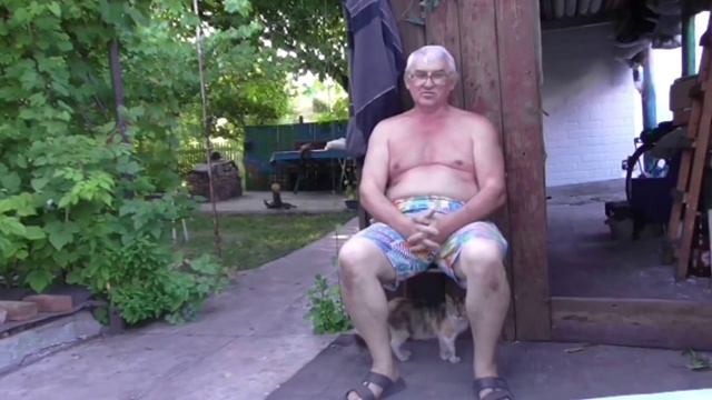 Амиачная Селитра поможет избавиться от пня без корчевки смотреть онлайн