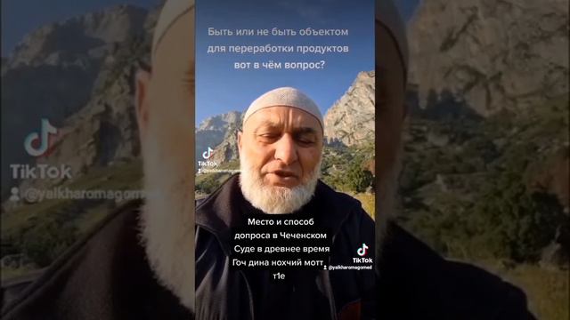Перевод на чеченский язык. Место и способ допроса в древнем чеченском суде. смотреть онлайн