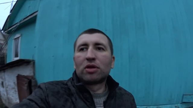 вьетнамские вислобрюхие свиньи( разведение, кормление) Подворье ТV смотреть онлайн
