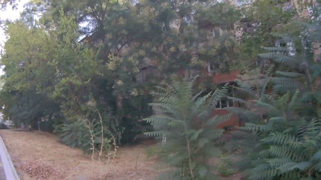 Ташкент.Узбекистан.Прогулка по Лисунова 4. смотреть онлайн