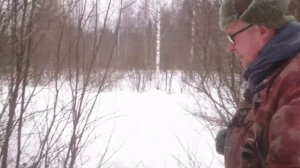 Охота по зайцу с русской гончей  День третий