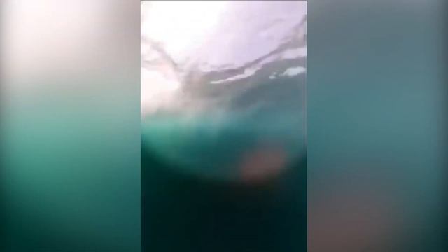 Кит столкнулся с серфингистом в Австралии.Whale collided with surfer in Australia смотреть онлайн