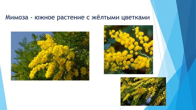 ХУДОЖЕСТВЕННЫЙ ТРУД 10 класс20урок смотреть онлайн