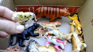 ОБЗОР!//В МИРЕ ХИЩНЫХ ЖИВОТНЫХ!// IN THE WORLD OF PREVENTIVE ANIMALS!