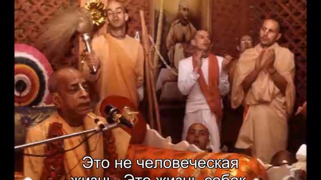 Prabhupada 0745 Не зависимо от того, верите вы или нет, слова Кришны не могут быть ложными