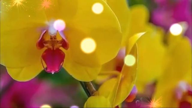 Хорошего тебе денёчка!!! смотреть онлайн