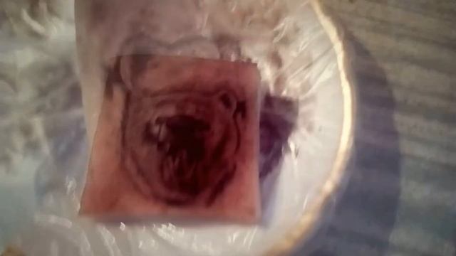 Татуировка на САЛЕ!!!Татуировка на свинье. тренируемся на шкуре свинной делать татуировки смотреть онлайн